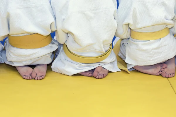 Grupo de niños en kimono sentados en tatami en el seminario de formación en artes marciales —  Fotos de Stock
