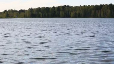 Bir göl su yüzeyine