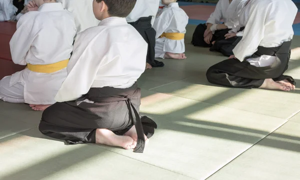 Ομάδα παιδιών σε κιμονό που κάθεται στο τατάμι στις πολεμικές τέχνες εκπαιδευτικό σεμινάριο — Φωτογραφία Αρχείου