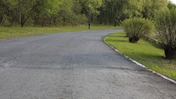 Una pista en el parque con un lago — Vídeos de Stock