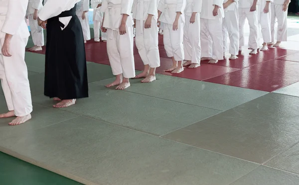 Grupo de niños en kimono de pie en tatami en el entrenamiento de artes marciales — Foto de Stock