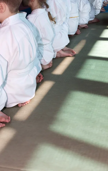 Grupo de niños en kimono sentados en tatami en el seminario de formación en artes marciales —  Fotos de Stock