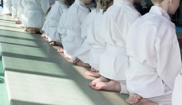 Grupa dzieci w kimono, siedząc na tatami na trening seminarium sztuk walki — Zdjęcie stockowe