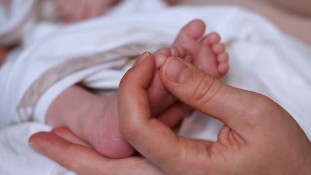 Matky ruce hladí novorozence baby nohy — Stock video