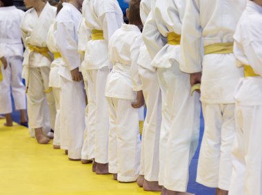 Dövüş sanatları eğitimi üzerinde tatami üzerinde kimono duran çocuklarda grup