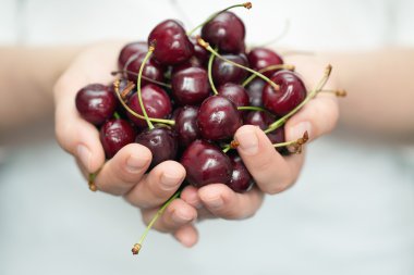 erkek ellerini tutarak taze vişne