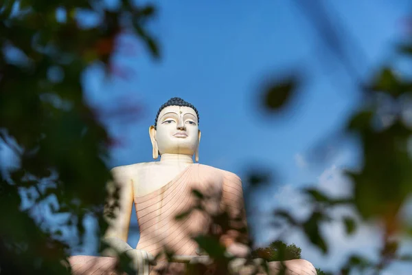 Buddha Agung di Kuil Vihara Kande, Sri Lanka — Stok Foto