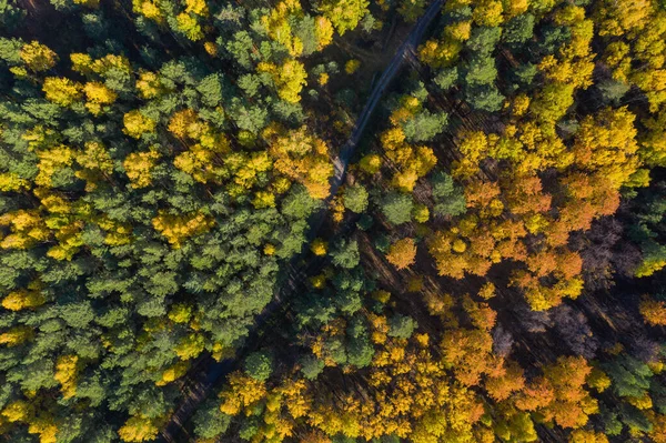 Foto aérea de floresta colorida na temporada de outono. Amarelo e árvores verdes — Fotografia de Stock