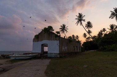 Palmiye ağaçları ve tsunami evi tarafından mahvedilmiş tropikal bir ada. Sri Lanka