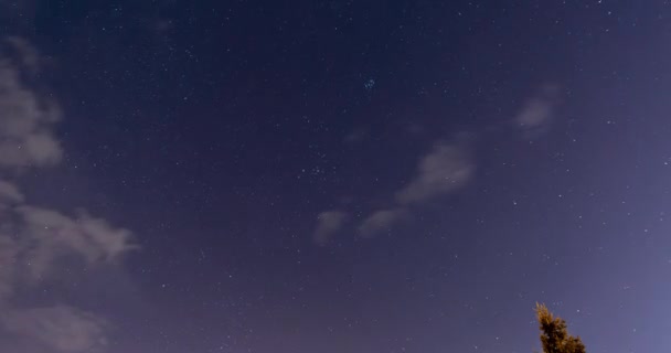 Гарне осіннє нічне небо з падаючими зірками. Зірка в листопаді — стокове відео