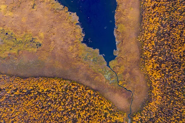 Вид с воздуха на красивое озеро, окруженное красочными лесами осенью — стоковое фото
