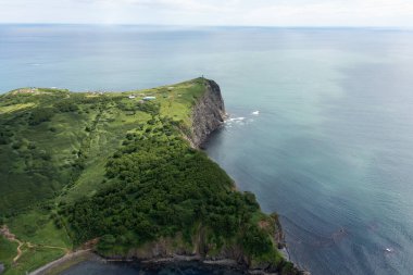 Pasifik Okyanusu 'ndaki yeşil çimlerle kaplı Avacha Körfezi kıyısındaki Kamçatka Yarımadasındaki Mayachny Burnu' nun insansız hava aracı fotoğrafı.