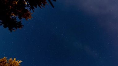 Kayan yıldızlı güzel sonbahar gecesi gökyüzü. Kasım 'da Yıldız Düşüşü
