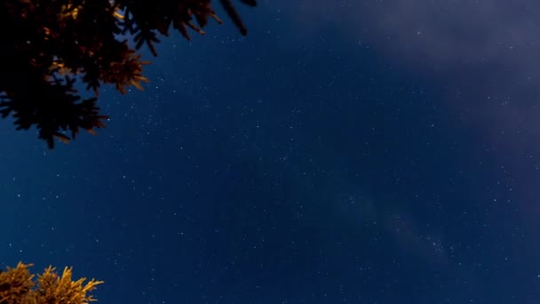 Прекрасное осеннее ночное небо с падающими звездами. Звездный дождь в ноябре — стоковое видео