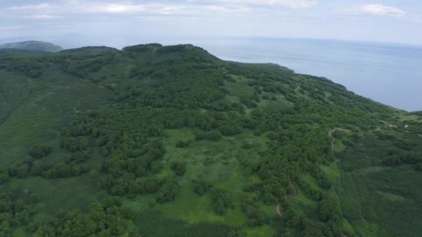 チャムチャッカ半島のマヤチニー岬太平洋の緑の芝生に覆われた絵のように美しいアヴァチャベイ海岸 — ストック動画