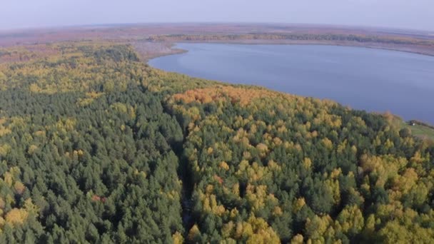 Filmagem aérea de uma superfície do lago cercada por floresta colorida no outono. — Vídeo de Stock