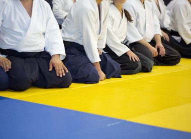 Kimono tatami dövüş sanatları seminer üzerinde oturan insanlar