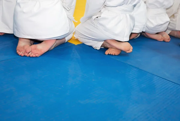 Kimono tatami dövüş sanatları seminer üzerinde oturan insanlar
