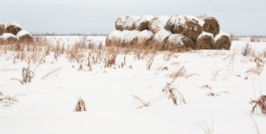 Rulo Haystack