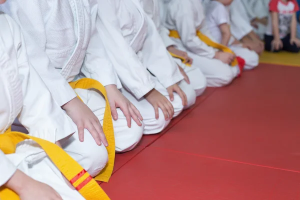 Дети в кимоно сидят на татами на семинаре по боевым искусствам — стоковое фото