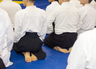 İnsanlar kimono ve tatami dövüş sanatları eğitimi üzerinde oturan hakama