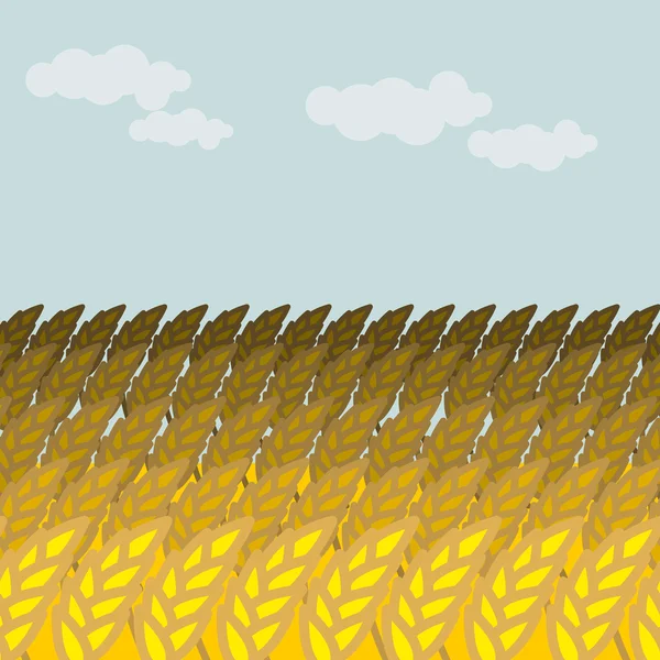 Campo de trigo. Campo de cereais e céu azul. Picos de centeio — Vetor de Stock