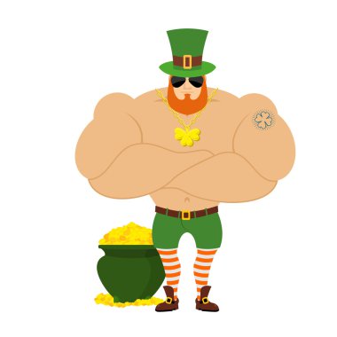 güçlü Leprechaun. Yeşil Şapkalı güçlü büyük leprechaun. Bodybui