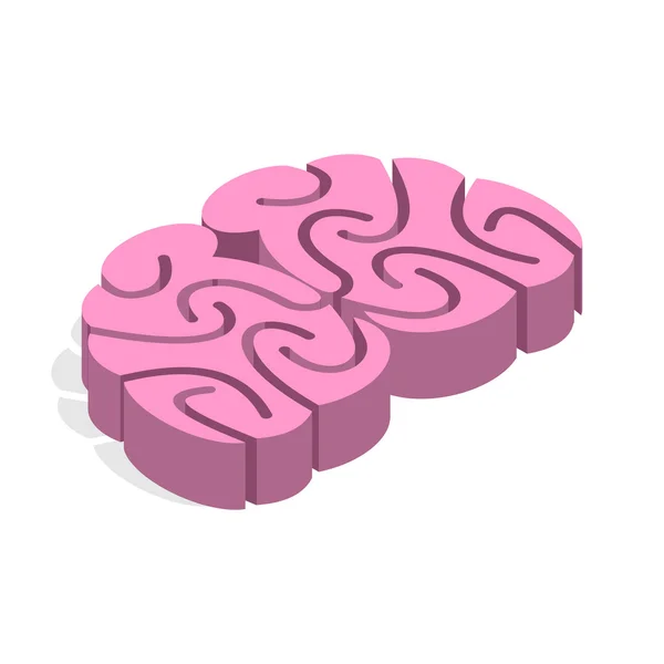 Isometria cerebral. corpo humano sistema nervoso central. 3d mente —  Vetores de Stock