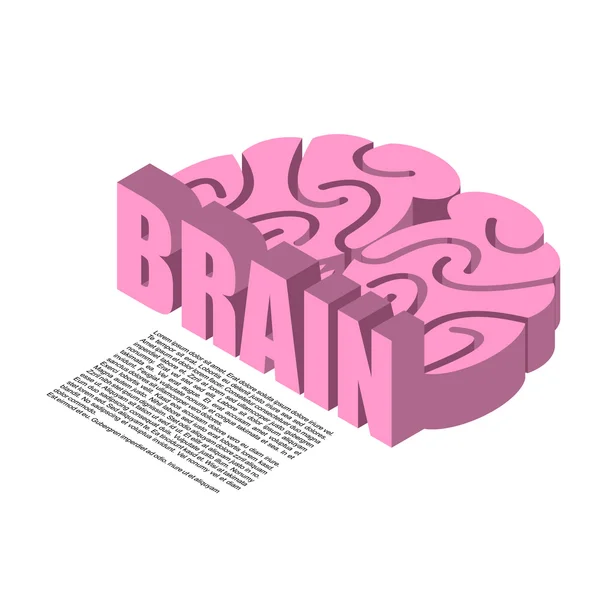 Mozková struktura infografiky. Mozková hlava lidský kortex — Stockový vektor