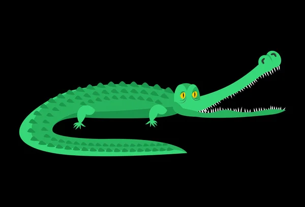 Crocodile isolé. Bon caïman. Un animal sauvage. Reptile vert avec — Image vectorielle