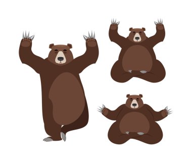 Ayı meditasyon yapar. Beyaz arka planda vahşi hayvanlar. Nirv durumu