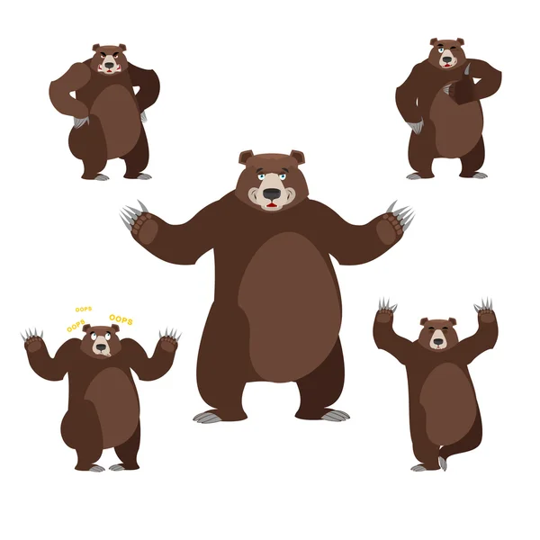 Urso definido no fundo branco. Grizzly várias poses. Expressão —  Vetores de Stock