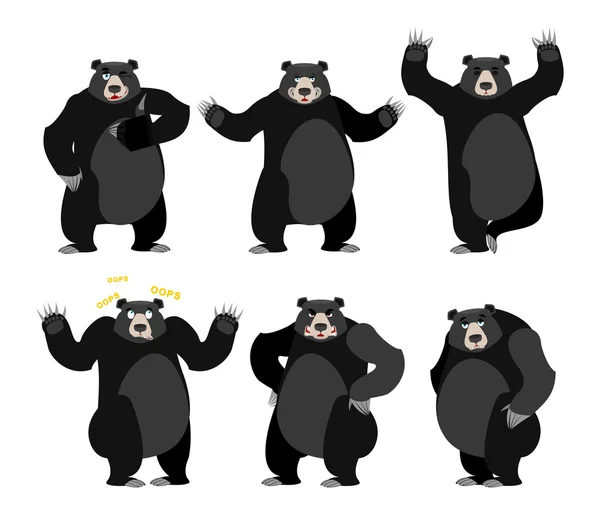 Conjunto de oso negro americano baribal. Grizzly varias poses. Expressi — Archivo Imágenes Vectoriales