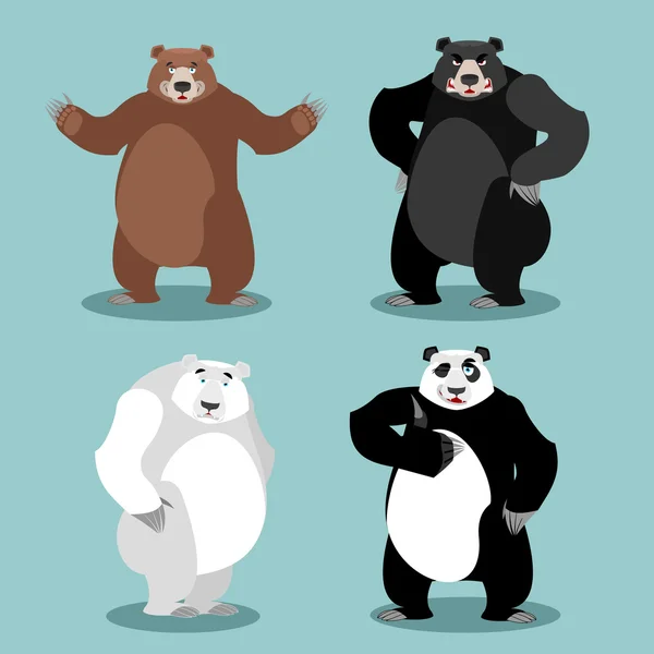 Los osos ponen Raza. Grizzly y Panda. oso negro americano baribal . — Vector de stock