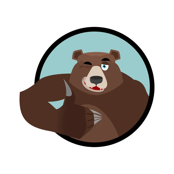 Oso pulgares hacia arriba y guiños. todos bien Grizzlies. Las señales están bien. H — Vector de stock