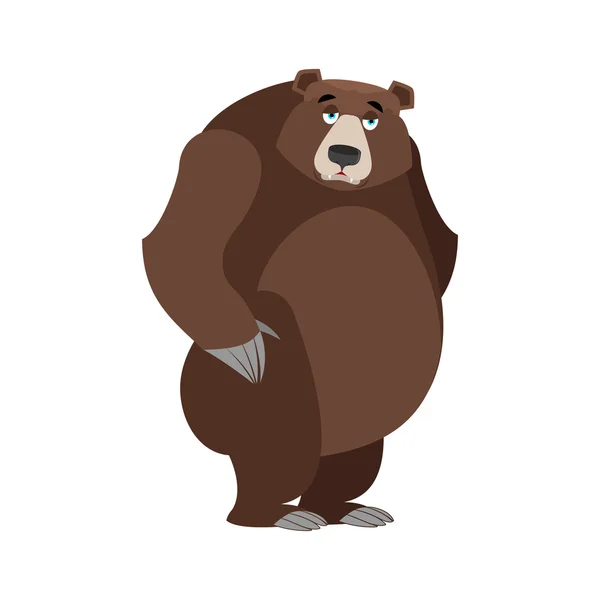 悲伤的熊悲伤的灰熊。悲惨的野生动物。大型森林波 — 图库矢量图片