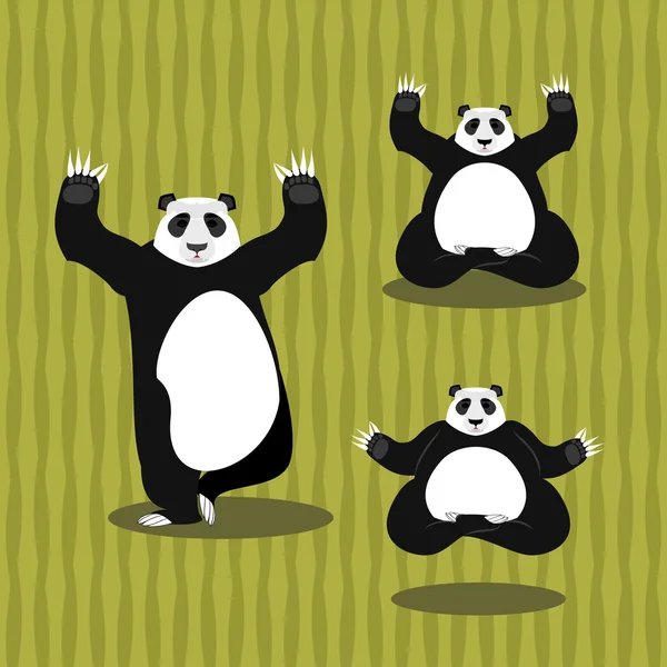 Panda Yoga meditando. Oso chino sobre fondo de bambú. Sta. — Vector de stock