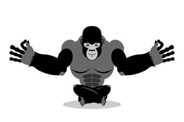 Goril meditasyonu. Beyaz arka planda vahşi hayvanlar. Durumun 