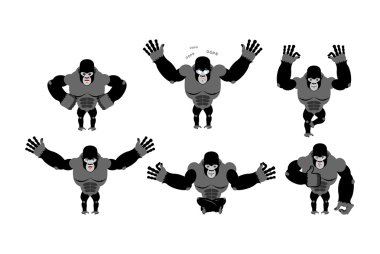 Goril pozlar ayarlayın. Duygular maymun ifadesidir. Vahşi hayvan bir