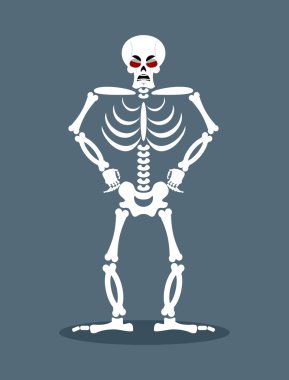 Kızgın iskelet. Saldırgan ölü. Kötü kafatası ve kemikler.