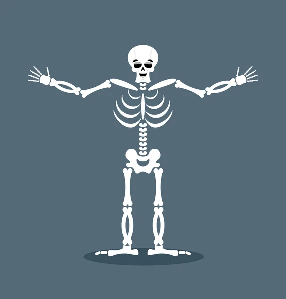 Happyl iskelet bir kucaklama kollarında dışarı uzatılmış. İyi-natur — Stok Vektör