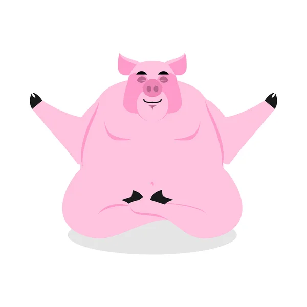 Cerdo meditando en la Posa de Loto. Yoga animal. Granja animal en blanco — Archivo Imágenes Vectoriales