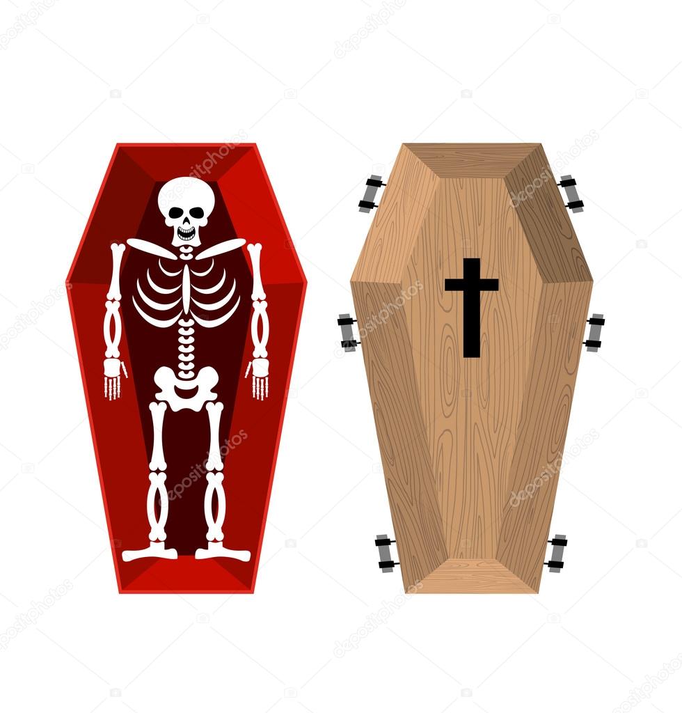 Skeleton in coffin. Open casket and skull and bones. Dead man in