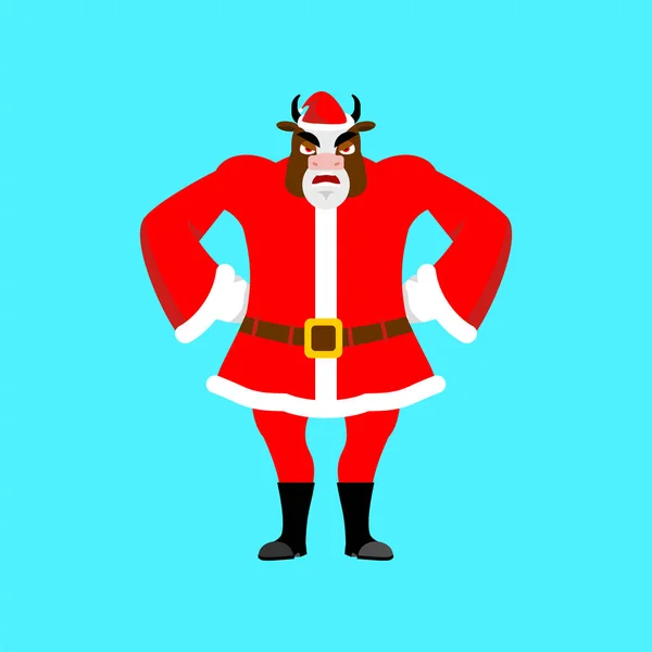 愤怒的圣诞老人 穿着红色西服的霸道奶牛 邪恶的圣诞农场动物 不幸的野兽新一年的说明 — 图库矢量图片