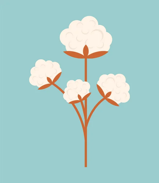 Algodão Isolado Bate Flor Cottons Inflorescência Ilustração Vetorial — Vetor de Stock