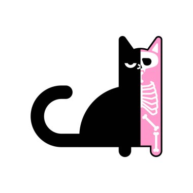 Schrodinger 'in kedisi. Yarı Ölü Evcil Hayvan