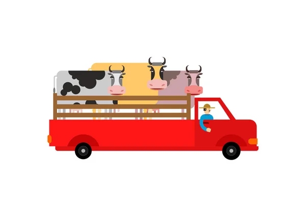 Camion Agricole Avec Vaches Agriculteur Transporte Bétail Dans Camion — Image vectorielle