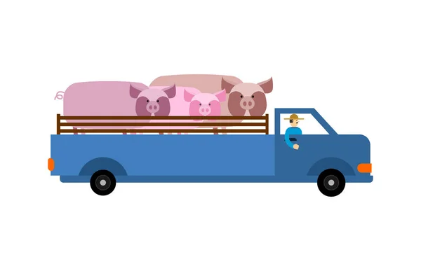 Camion Ferme Avec Porcs Agriculteur Transporte Bétail Dans Camion — Image vectorielle