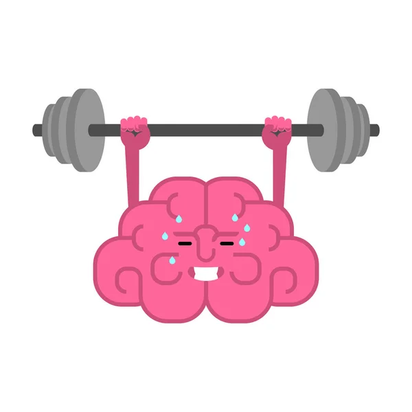 Cerebro Barbell Aumenta Cerebro Cerebro Gimnasio — Vector de stock