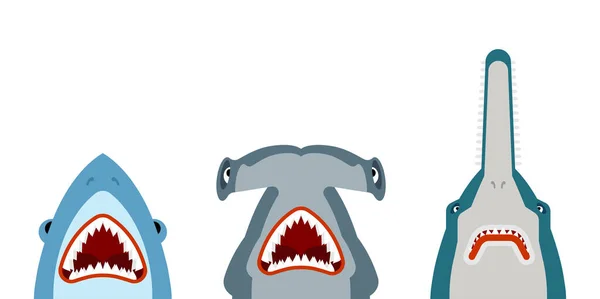 Juego Tiburones Colección Depredadores Marinos Tiburón Martillo Pez Sierra — Vector de stock